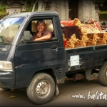 Yayasan Widya Guna